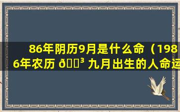 86年阴历9月是什么命（1986年农历 🐳 九月出生的人命运如何）